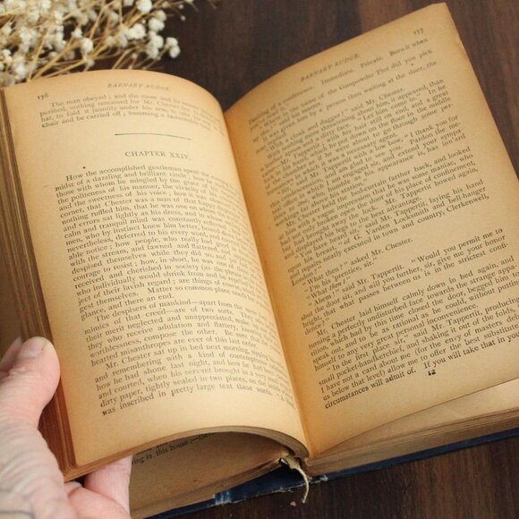 Vintage Book, "Barnaby Rudge", Charles Dickens, Oxford Edition - Picture 9 of 10